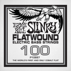 Slinky flatwound 100