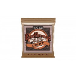 Earthwood Phosphore Bronze Light Ernie Ball