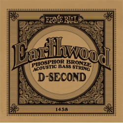 Earthwood - basse acoustique phosphore bronze 55