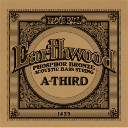 Earthwood - basse acoustique phosphore bronze 80