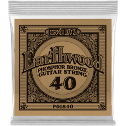 Earthwood phosphore bronze 040