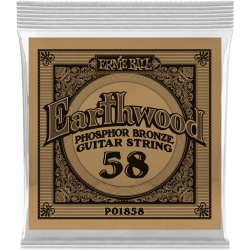 Earthwood phosphore bronze 058