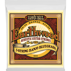Earthwood 80/20 bronze banjo bluegrass 9-20