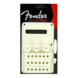 Fender Strat Accessory Kit Parchment