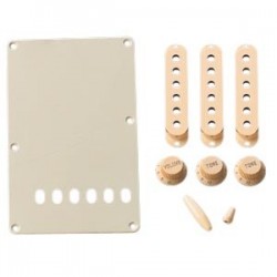 Fender Strat Accessory Kit Aged White