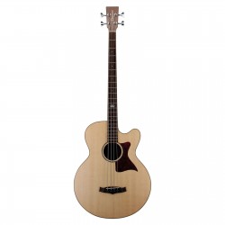 Tanglewood 155A Electro Premier serie